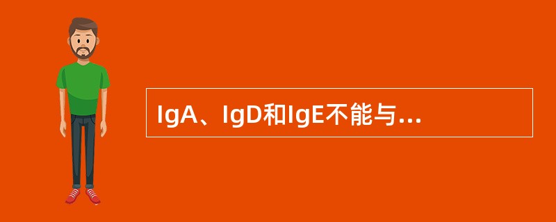 IgA、IgD和IgE不能与C1q结合的原因是