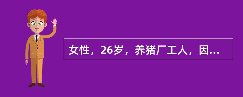 女性，26岁，养猪厂工人，因发热全身酸痛5天，于7月22日入院，T40℃，眼结合膜充血，腹股沟淋巴结蚕豆大，有压痛，腓肠肌轻压痛，肝肋下可及轻叩痛，双肾区有叩击痛，尿蛋白（＋），每高倍视野有RBC2～