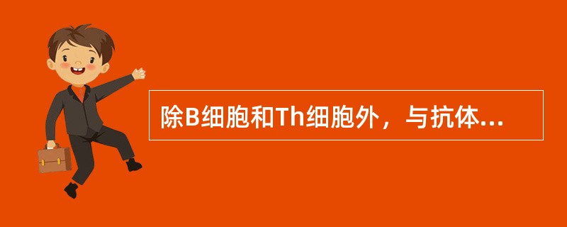 除B细胞和Th细胞外，与抗体产生有关的细胞还有