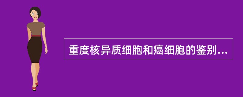 重度核异质细胞和癌细胞的鉴别要点，前者是（ ）。