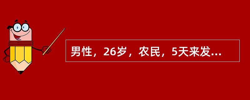 男性，26岁，农民，5天来发热.畏寒，1天来头痛.呕吐2次，于8月15入院，T39.6C，球结膜充血，颈有抵抗，腹股沟淋巴结肿大，有压痛，腓肠肌有压痛，尿蛋白（＋＋）。治疗应首选的药为