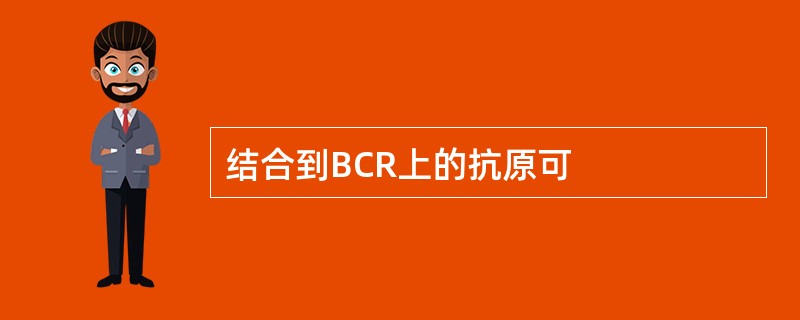 结合到BCR上的抗原可