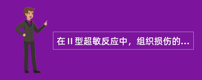 在Ⅱ型超敏反应中，组织损伤的机制是