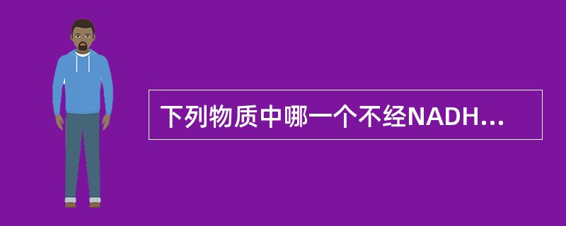 下列物质中哪一个不经NADH氧化呼吸链氧化（ ）
