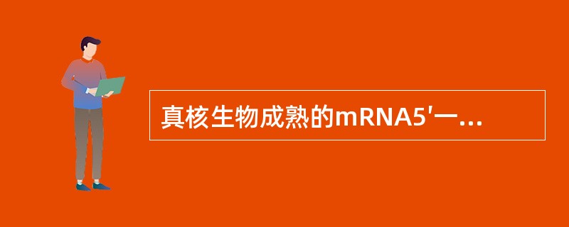 真核生物成熟的mRNA5′一端具有（ ）