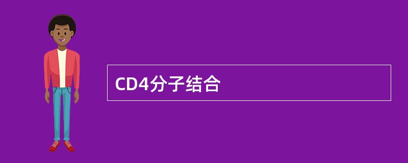 CD4分子结合