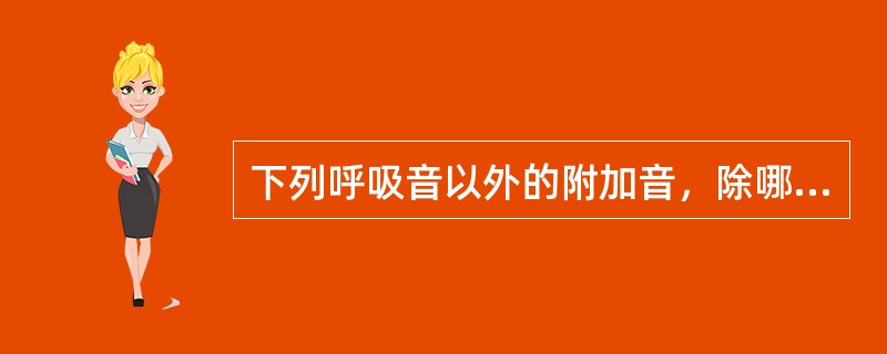 下列呼吸音以外的附加音，除哪项外均只见于病理情况