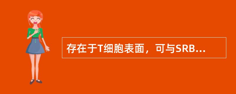 存在于T细胞表面，可与SRBC结合的CD为