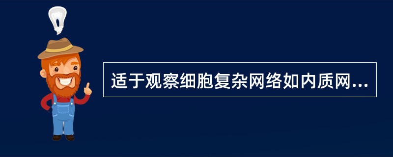 适于观察细胞复杂网络如内质网膜系统.细胞骨架系统的三维结构的显微镜是