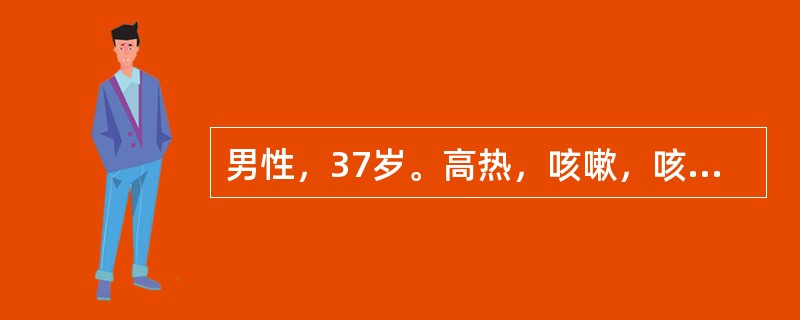 男性，37岁。高热，咳嗽，咳铁锈色痰，该患者的诊断可能为