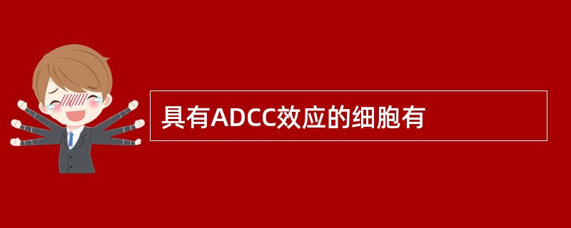 具有ADCC效应的细胞有