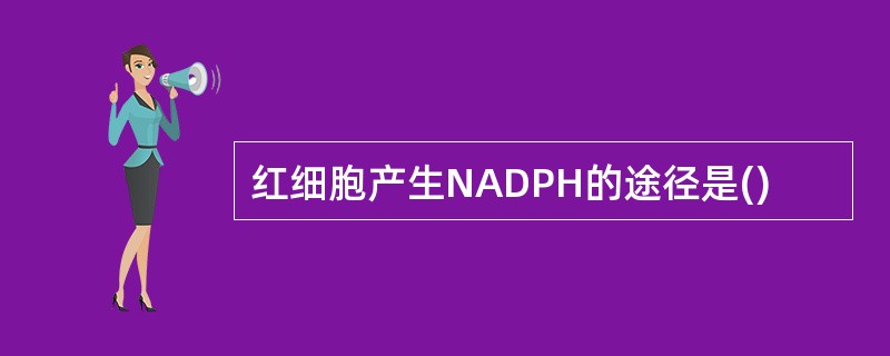 红细胞产生NADPH的途径是()
