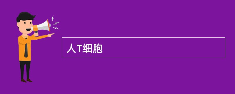 人T细胞