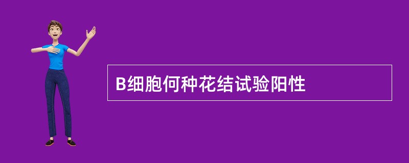 B细胞何种花结试验阳性