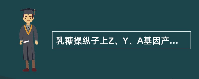 乳糖操纵子上Z、Y、A基因产物分别是()