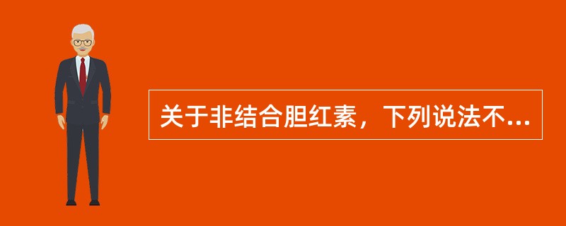 关于非结合胆红素，下列说法不正确的是()