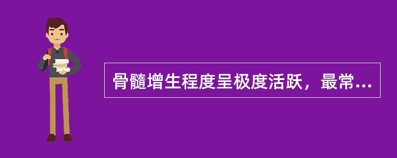 骨髓增生程度呈极度活跃，最常出现于