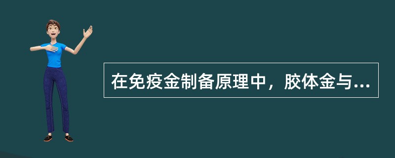 在免疫金制备原理中，胶体金与蛋白质结合力为