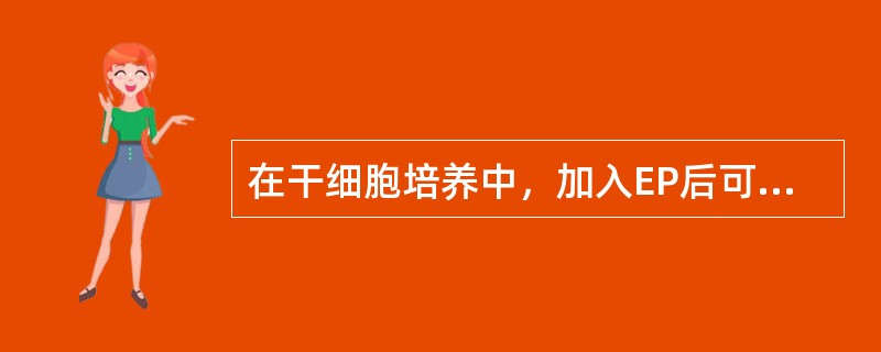 在干细胞培养中，加入EP后可形成下列何种集落（）。