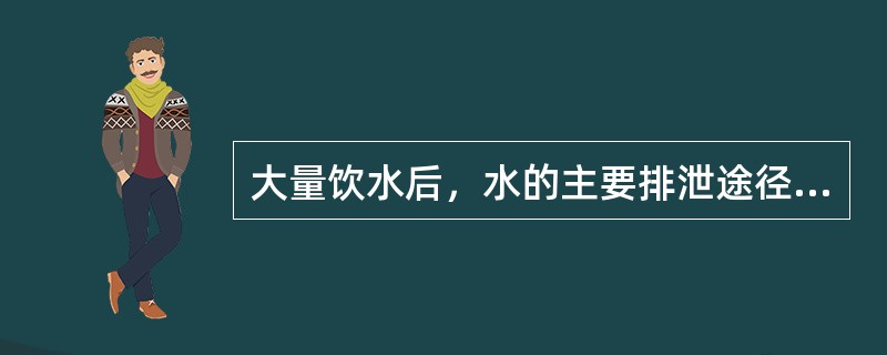 大量饮水后，水的主要排泄途径是（）。