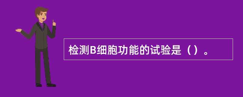检测B细胞功能的试验是（）。