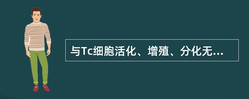 与Tc细胞活化、增殖、分化无关的分子为