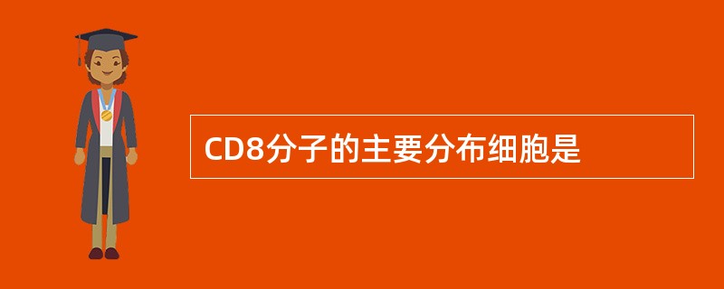 CD8分子的主要分布细胞是