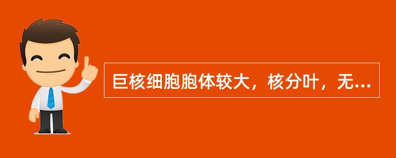巨核细胞胞体较大，核分叶，无核仁，浆内充满紫红色颗粒，周边无血小板形成，符合下列哪种巨核细胞的特点（）。