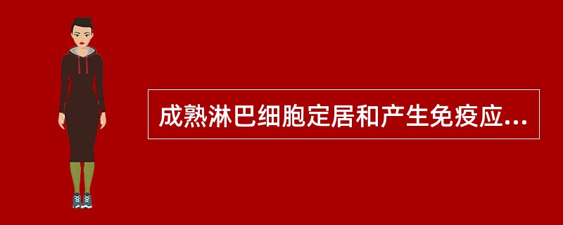 成熟淋巴细胞定居和产生免疫应答的场所是
