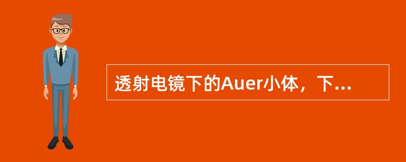 透射电镜下的Auer小体，下列叙述不正确的是（）。