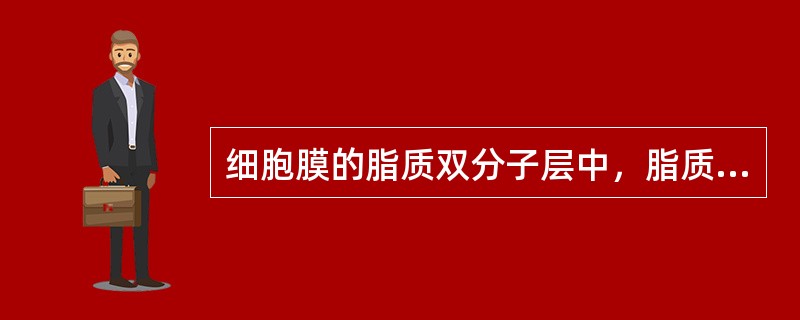 细胞膜的脂质双分子层中，脂质分子的疏水端（）