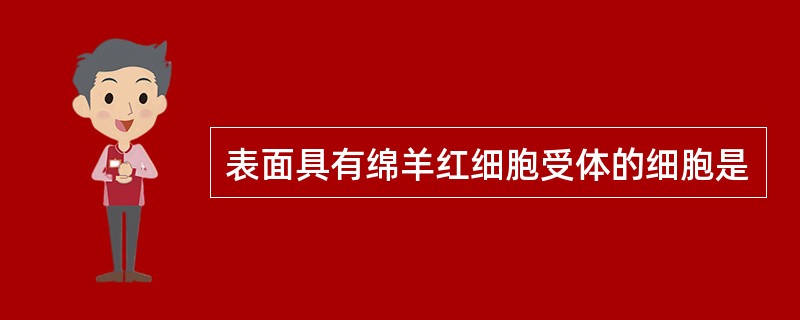 表面具有绵羊红细胞受体的细胞是