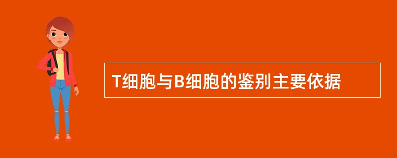 T细胞与B细胞的鉴别主要依据