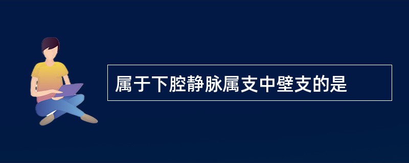 属于下腔静脉属支中壁支的是