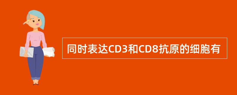 同时表达CD3和CD8抗原的细胞有