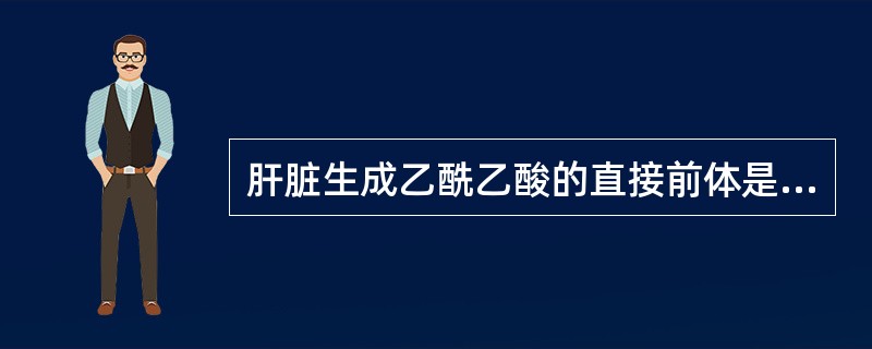 肝脏生成乙酰乙酸的直接前体是（）