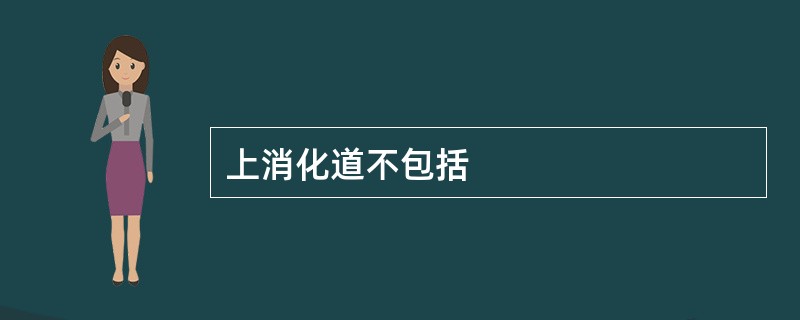 上消化道不包括