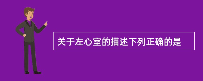 关于左心室的描述下列正确的是