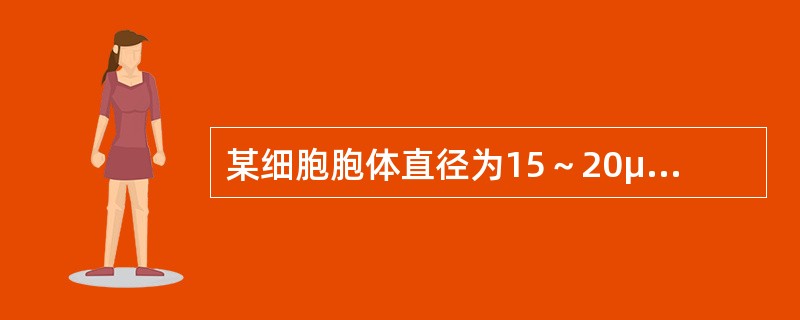 某细胞胞体直径为15～20μm，圆形，边缘有瘤状突起；胞核圆形，核染色质呈颗粒状；核仁1～2个；胞浆量少，呈油墨蓝。该细胞为