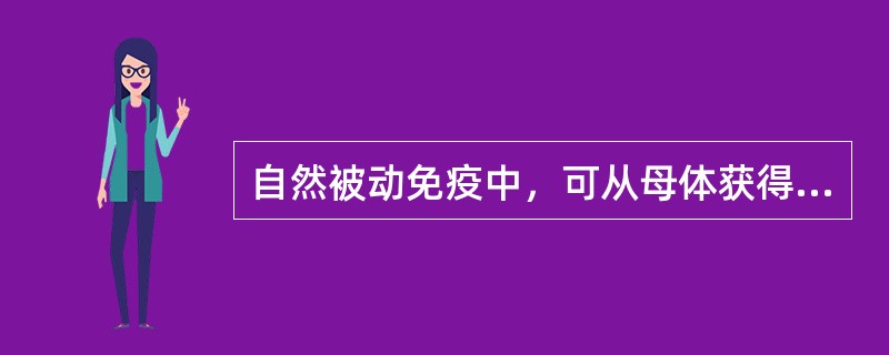 自然被动免疫中，可从母体获得的抗体类别是（）