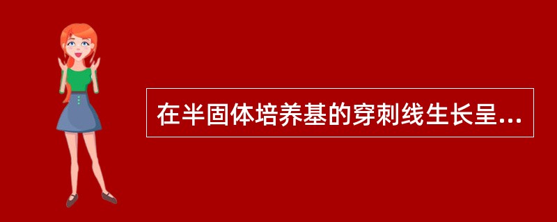 在半固体培养基的穿刺线生长呈模糊或根须状，并使培养基变混浊的细菌的特点是（）