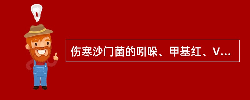 伤寒沙门菌的吲哚、甲基红、VP和枸橼酸盐试验结果为（）