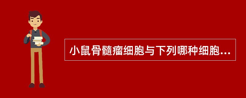 小鼠骨髓瘤细胞与下列哪种细胞融合，得到杂交瘤细胞，经培养可产生单克隆抗体