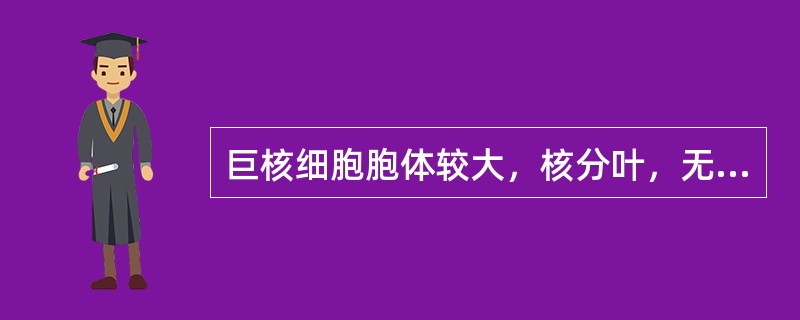 巨核细胞胞体较大，核分叶，无核仁，浆内充满紫红色颗粒，周边无血小板形成，符合下列哪种巨核细胞的特点