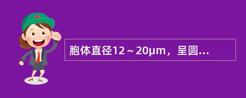 胞体直径12～20μm，呈圆或椭圆形，胞核大，位于中央或偏位，核仁可见或消失，核染色质开始聚集。胞浆量较多，呈淡蓝、蓝或深蓝色。浆内含大小、形态或多少不一的紫红色嗜苯胺蓝颗粒。POX染色阳性。符合哪种