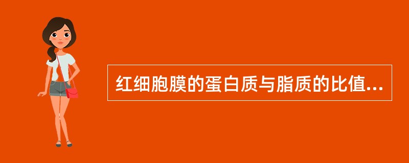 红细胞膜的蛋白质与脂质的比值约为