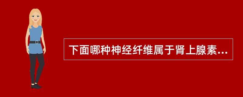 下面哪种神经纤维属于肾上腺素能纤维