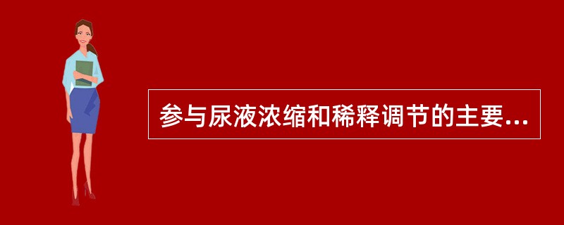 参与尿液浓缩和稀释调节的主要激素是
