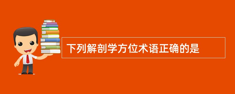 下列解剖学方位术语正确的是