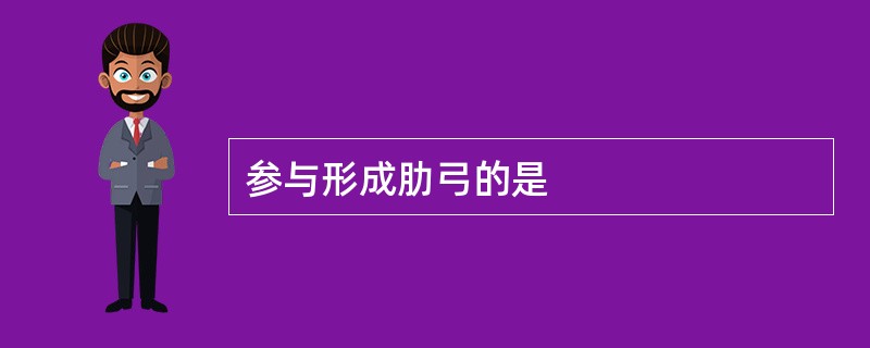 参与形成肋弓的是